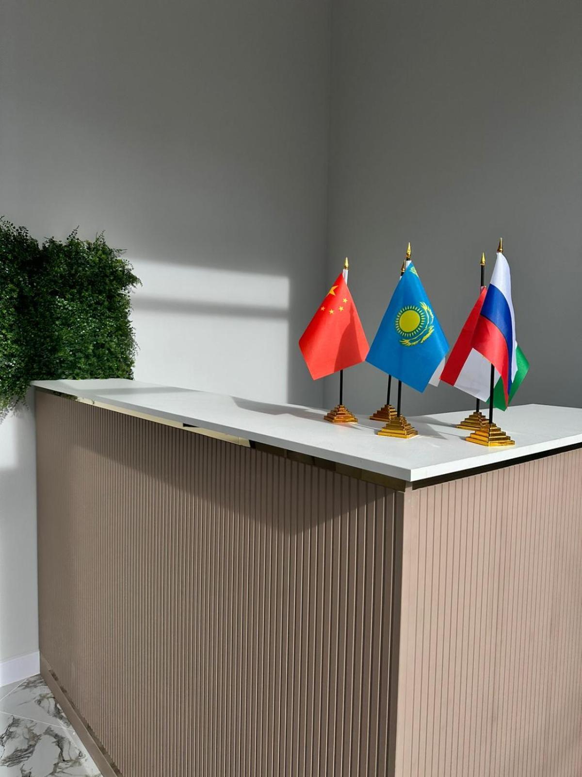 Апарт-Отель Amz Almaty Esterno foto